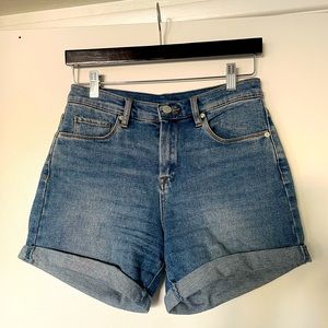 BlankNYC Distressed Denim Shorts 27